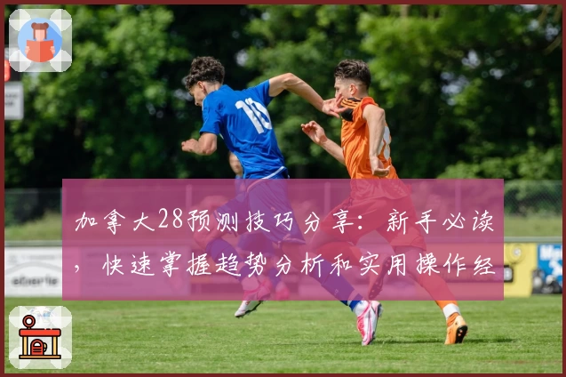加拿大28预测技巧分享：新手必读，快速掌握趋势分析和实用操作经验