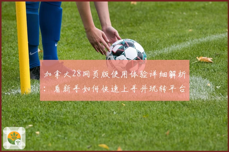 加拿大28网页版使用体验详细解析：看新手如何快速上手并玩转平台核心功能