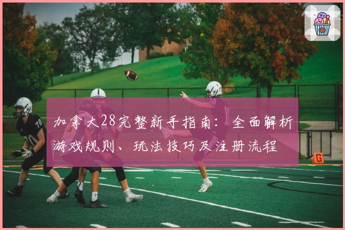 加拿大28完整新手指南：全面解析游戏规则、玩法技巧及注册流程