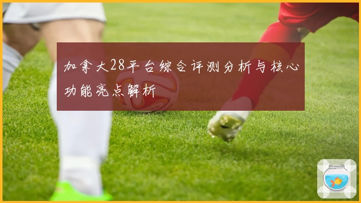 加拿大28平台综合评测分析与核心功能亮点解析