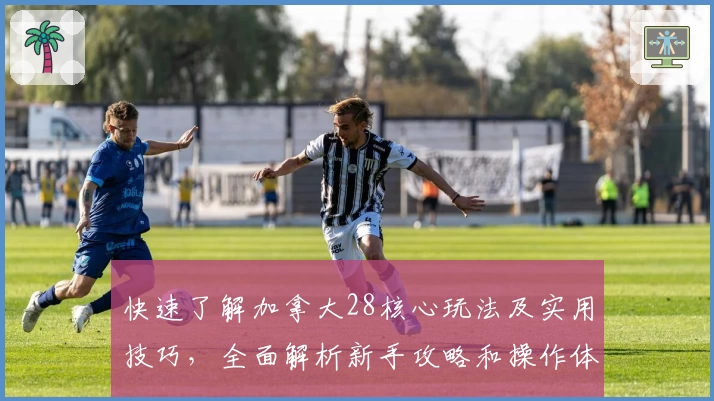 快速了解加拿大28核心玩法及实用技巧，全面解析新手攻略和操作体验