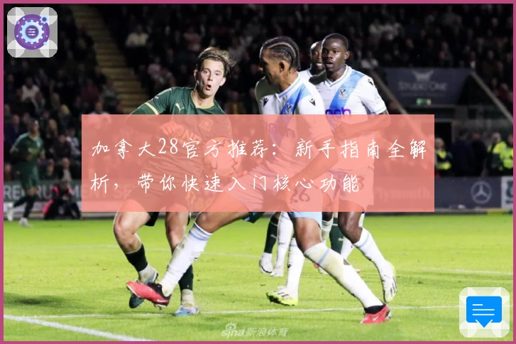 加拿大28官方推荐:新手指南全解析,带你快速入门核心功能