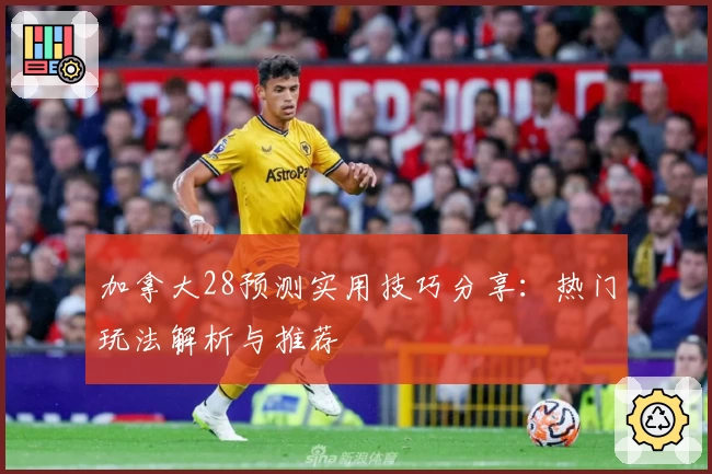 加拿大28预测实用技巧分享：热门玩法解析与推荐