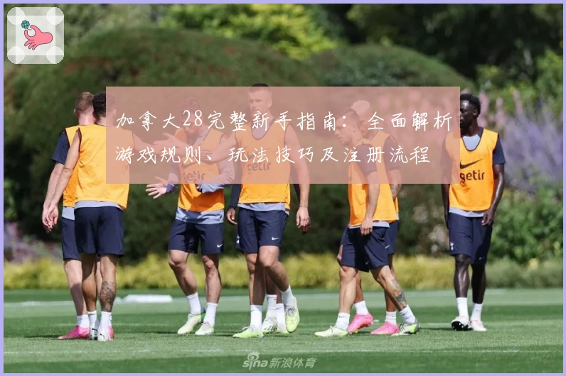 加拿大28完整新手指南：全面解析游戏规则、玩法技巧及注册流程
