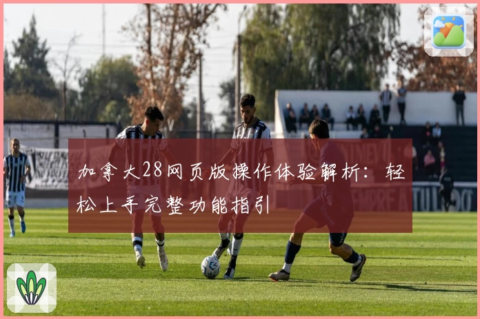 加拿大28网页版操作体验解析：轻松上手完整功能指引