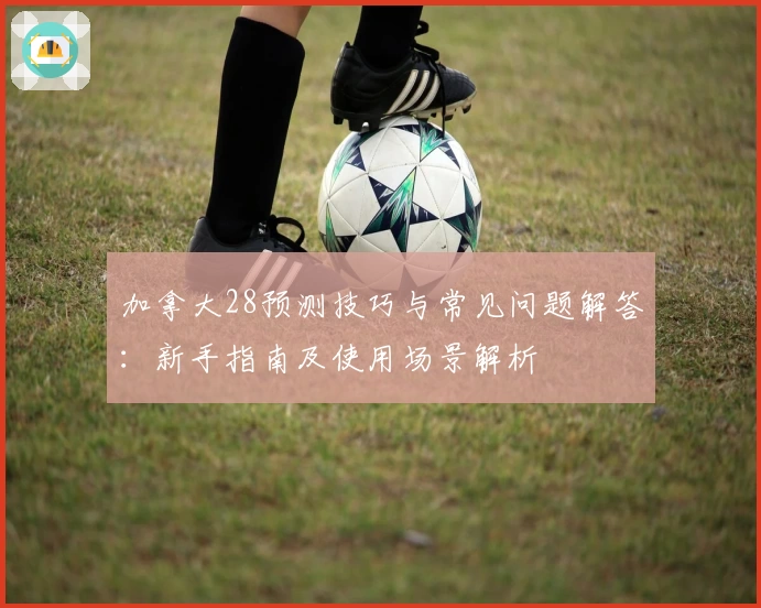 加拿大28预测技巧与常见问题解答：新手指南及使用场景解析