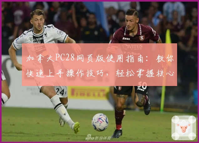 加拿大PC28网页版使用指南：教你快速上手操作技巧，轻松掌握核心功能与日常使用场景