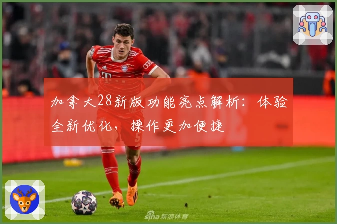 加拿大28新版功能亮点解析：体验全新优化，操作更加便捷